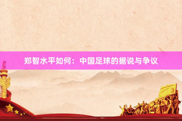 郑智水平如何：中国足球的据说与争议