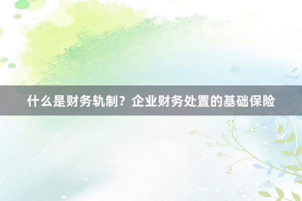 什么是财务轨制？企业财务处置的基础保险
