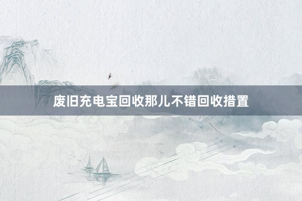 废旧充电宝回收那儿不错回收措置