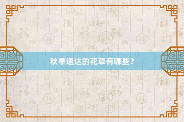 秋季通达的花草有哪些？