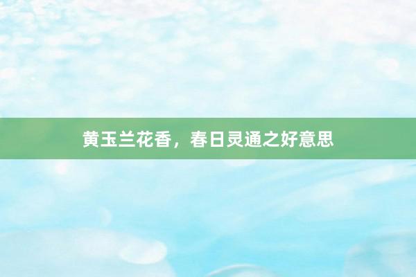 黄玉兰花香，春日灵通之好意思