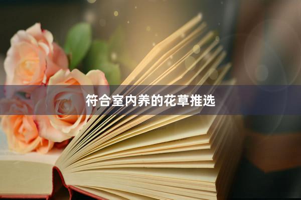 符合室内养的花草推选